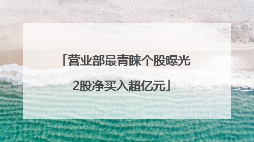营业部最青睐个股曝光 2股净买入超亿元
